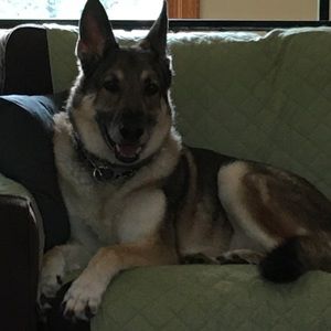 Meet your Posher, Maria